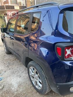 جيب رينيجيد